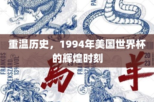 重温历史，1994年美国世界杯的辉煌时刻洪湖市顺升工程机械租赁有限公司