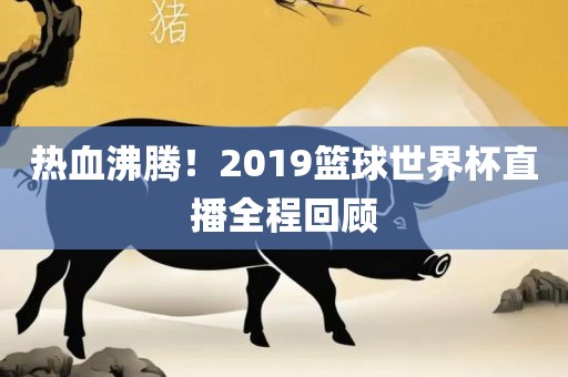 热血沸腾！2019篮球世界杯直播全程回顾