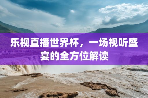 乐视直播世界杯，一场视听盛宴的全方位解读洪湖市顺升工程机械租赁有限公司