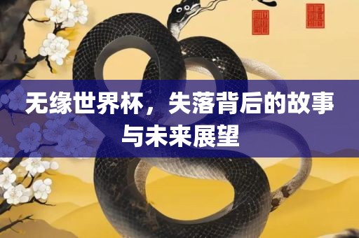 无缘世界杯，失落背后的故事与未来展望洪湖市顺升工程机械租赁有限公司