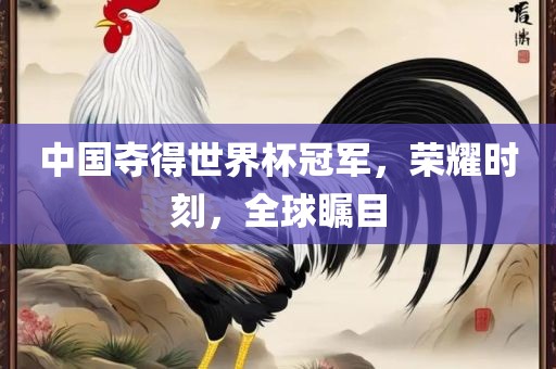 中国夺得世界杯冠军，荣耀时刻，全球瞩目