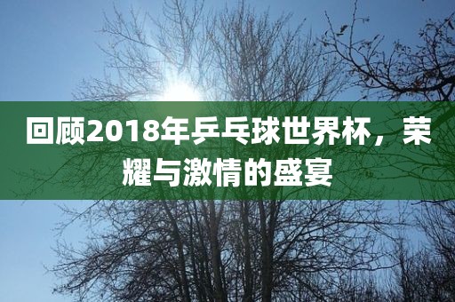 回顾2018年乒乓球世界杯，荣耀与激情的盛洪湖市顺升工程机械租赁有限公司宴