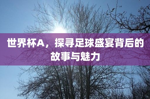世界杯A，探寻足球盛宴背后的故事与魅力洪湖市顺升工程机械租赁有限公司