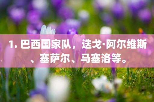 1. 巴西国家队，迭戈·阿尔维斯、塞萨尔、马塞洛等。洪湖市顺升工程机械租赁有限公司
