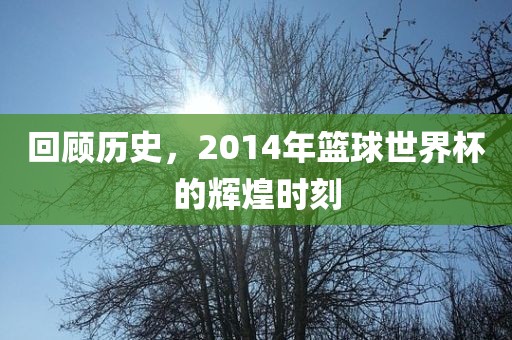 回顾历史，2014年篮球世界杯的辉煌时刻洪湖市顺升工程机械租赁有限公司