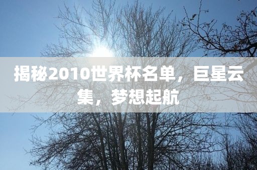 揭秘2010世界杯名单，巨星云集，梦想起航洪湖市顺升工程机械租赁有限公司