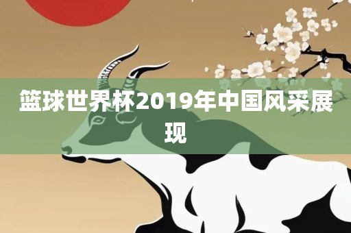 篮球世界杯2019年中国风采展现洪湖市顺升工程机械租赁有限公司