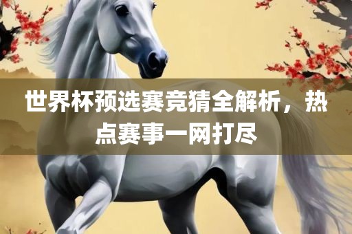 世界杯预选赛竞猜全解析，热点赛事一网打尽