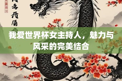 我爱世界杯女主持人，魅力与风采的完美结合