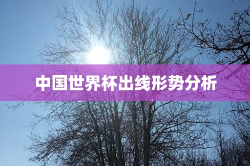 中国世界杯出线形势分析