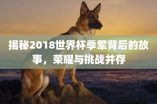 揭秘2018世界杯季军背后的故事，荣耀与挑战并存洪湖市顺升工程机械租赁有限公司