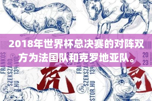 2018年世界杯总决赛的对阵双方为法国队和克罗地亚队。