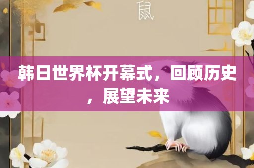 韩日世界杯开幕式，回顾历史，展望未来洪湖市顺升工程机械租赁有限公司