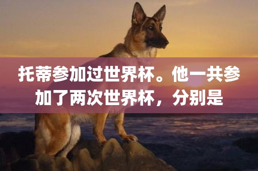 托蒂参加过世界杯。他一共参加了两次世界杯，分别是