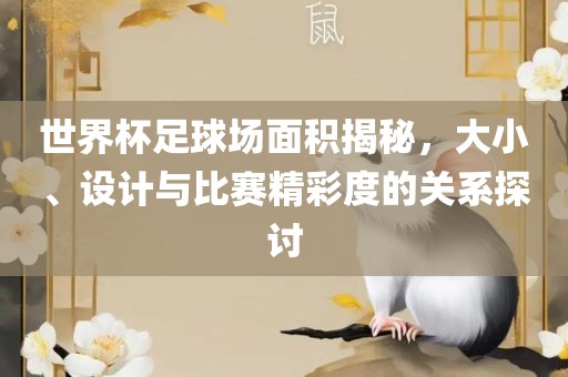 世界杯足球场面积揭秘，大小、设计与比赛精彩度的关系探讨