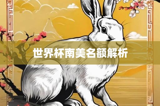 世界杯南美名额解析