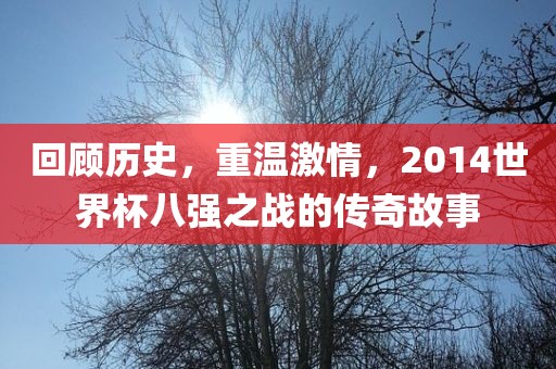 回顾历史，重温激情，2014世界杯洪湖市顺升工程机械租赁有限公司八强之战的传奇故事