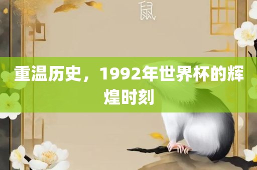 重温历史，19洪湖市顺升工程机械租赁有限公司92年世界杯的辉煌时刻
