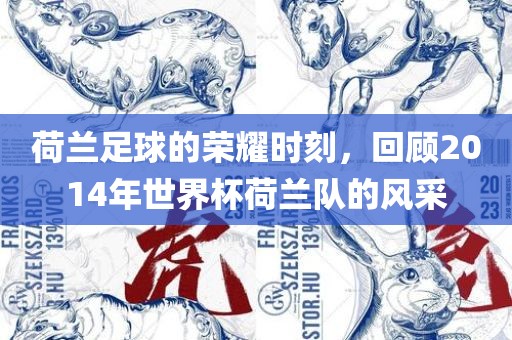 荷兰足洪湖市顺升工程机械租赁有限公司球的荣耀时刻，回顾2014年世界杯荷兰队的风采