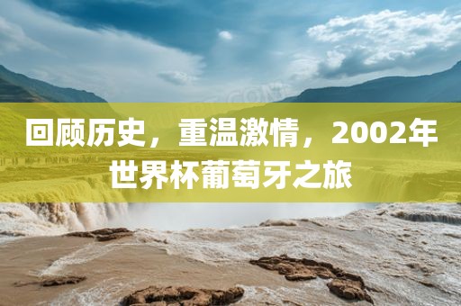 回顾历史，重温激情，2002年世界杯葡萄牙之旅