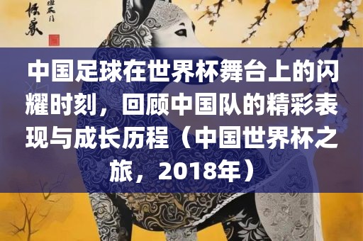 中国足球在世界杯舞台上的闪耀时刻，回顾中国队的精彩表现与成长历程（中国世界杯之旅，2018年）
