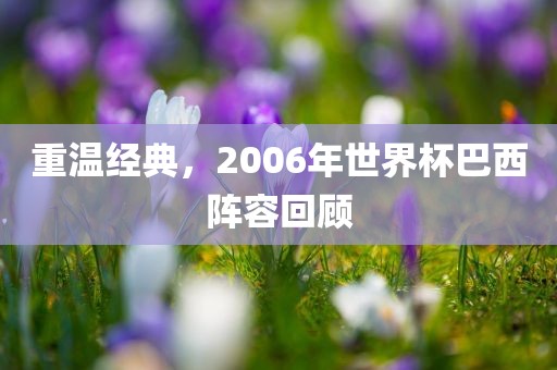 重温经典，2006年世界杯巴西阵容回顾洪湖市顺升工程机械租赁有限公司