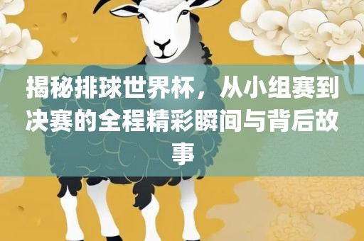 揭秘排球世界杯，从小组赛到决赛的全程精彩瞬间与背后故事