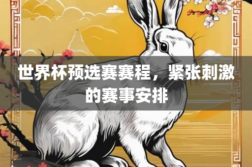 世界杯预选赛赛程，紧张刺激的赛事安排