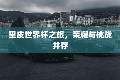 里皮世界杯之旅，荣耀与挑战并存