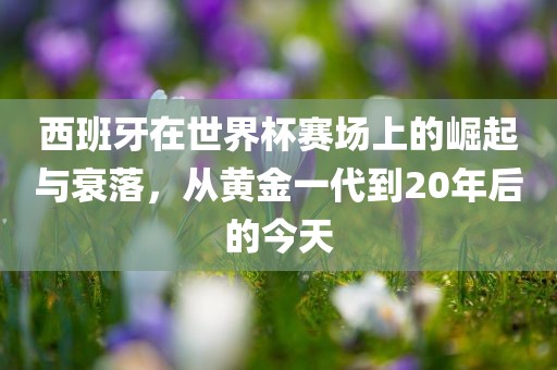 西班牙在世界杯赛场上的崛起与衰落，从黄金一代到20年后的今天洪湖市顺升工程机械租赁有限公司