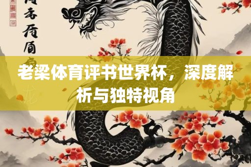 老梁体育评书世界杯，深度解析与独特视角