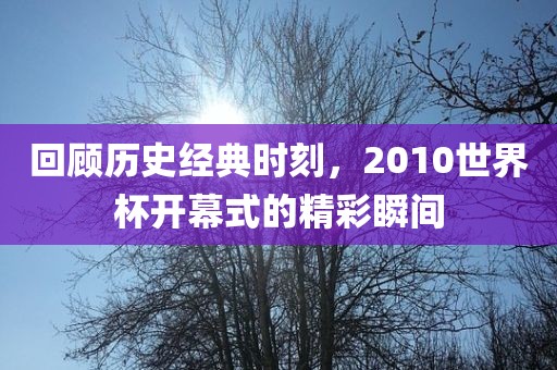 回顾历史经典时刻，2010世界杯开幕式的精彩瞬间洪湖市顺升工程机械租赁有限公司