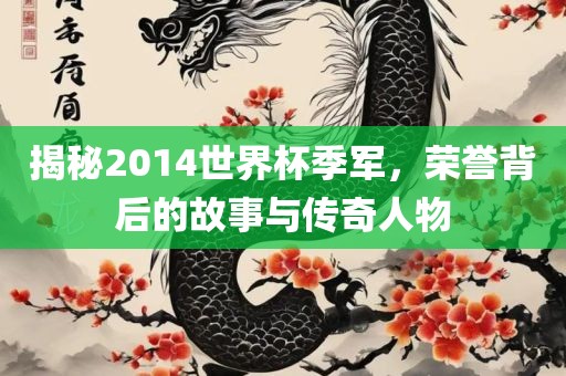 揭秘2014世界杯季军，荣誉背后的故事与传奇人物