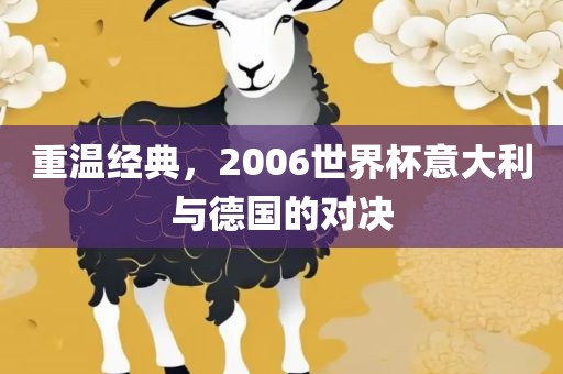 重温经典，2006世界杯意大利与德国的对决洪湖市顺升工程机械租赁有限公司