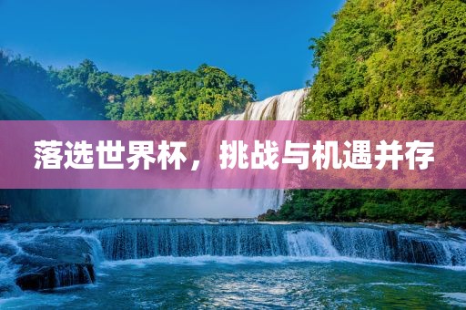 huangyanmin 第12页