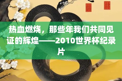 热血燃烧，那些年我们共同见证的辉煌——2010世界杯纪录片