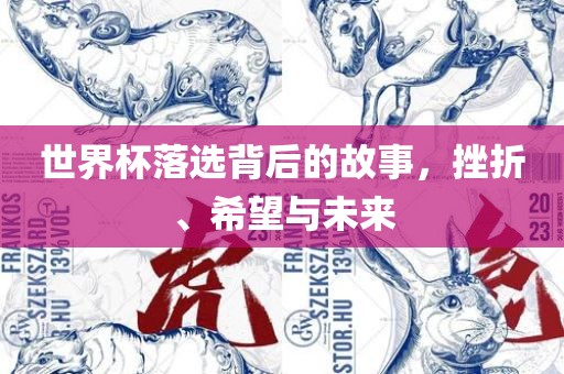 世界杯落选背后的故事，挫折、希望与未来洪湖市顺升工程机械租赁有限公司