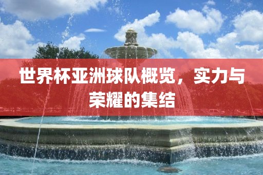 世界杯亚洲球队概览，实力与荣耀的集结