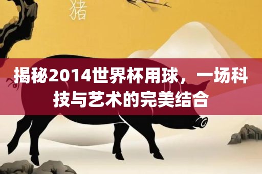 揭秘2014世界杯用球，一场科技与艺术的完美结合