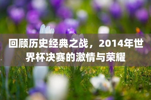 回顾历史经典之战，2014年世界杯决赛的激情与荣耀