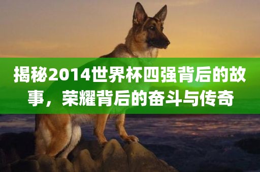 揭秘2014世界杯四强背后的故事，荣耀背后的奋斗与传奇