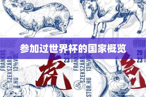 参加过世界杯的国家概览洪湖市顺升工程机械租赁有限公司