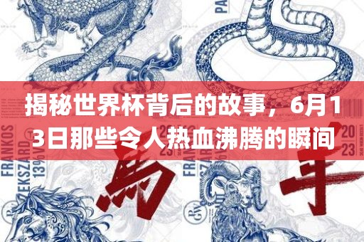 揭秘世界杯背后的故事，6月13日那些令人热血沸腾的瞬间洪湖市顺升工程机械租赁有限公司