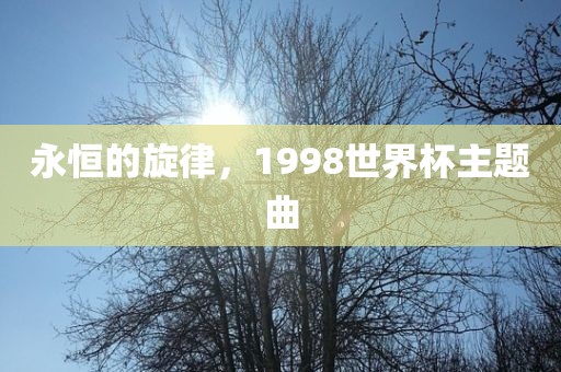 永恒的旋律，1998世界杯主题曲洪湖市顺升工程机械租赁有限公司