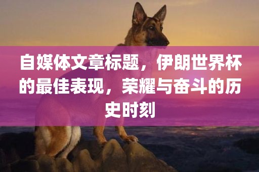 自媒体文章标题，伊朗世界杯的最佳表现，荣耀与奋斗的历史时刻洪湖市顺升工程机械租赁有限公司