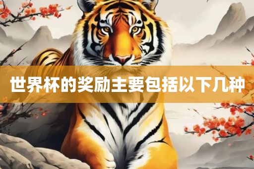 世界杯的奖励主要包括以下几种