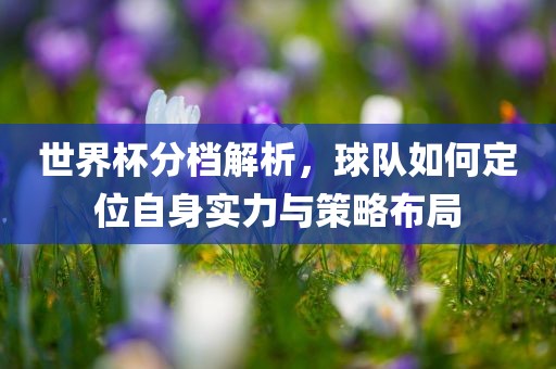 世界杯分档解析，球队如何定位自身实力与策略布局