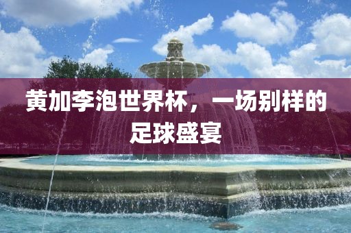 黄加李泡世界杯，一场别样的足球盛宴洪湖市顺升工程机械租赁有限公司