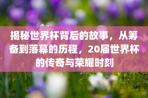 揭秘世界杯背后的故事，从筹备到落幕的历程，20届世界杯的传奇与荣耀时刻洪湖市顺升工程机械租赁有限公司