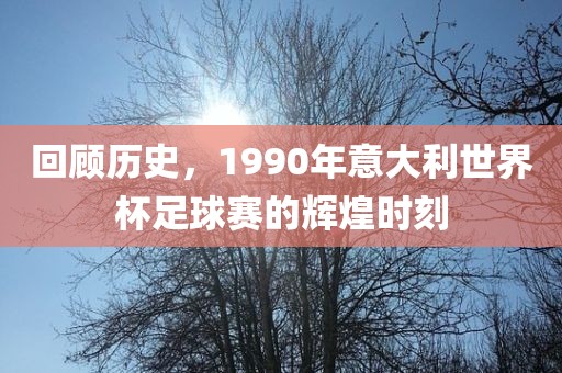回顾历史，1990年意大利世界杯足球赛的辉煌时刻洪湖市顺升工程机械租赁有限公司